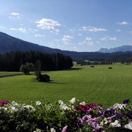 Appartamento Haus Witting Leutasch Esterno foto